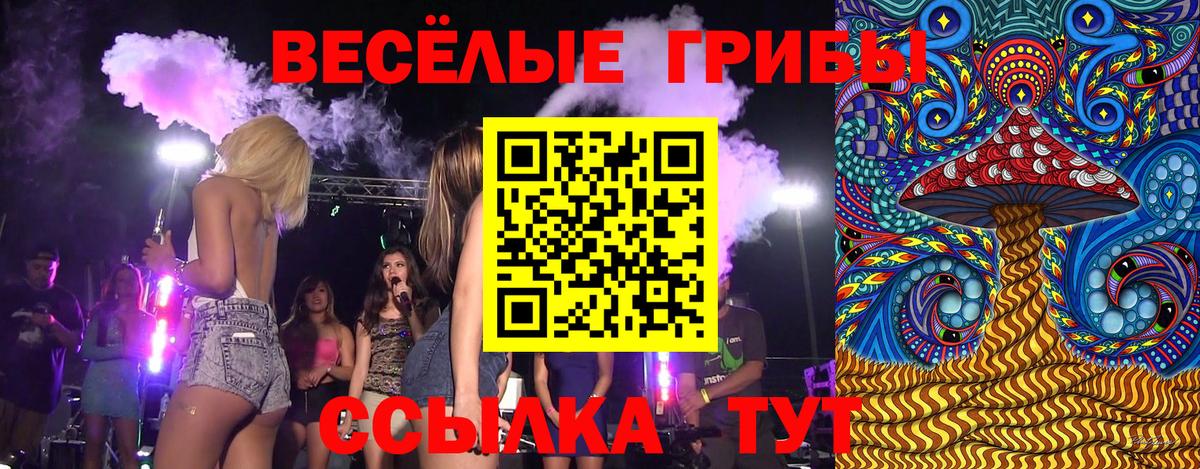 Галлюциногенные грибы Psilocybe  продажа наркотиков  Новокуйбышевск  Вход с VPN 