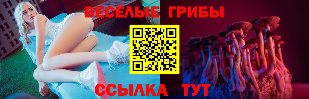 Псилоцибиновые грибы Psilocybine cubensis Новокуйбышевск
